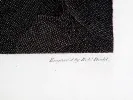 IB00338: close-up of a black-and-white engraved print with the caption “Engraved by Robt. Dodt.” visible below the image.