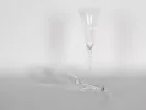 IB00693 paire de flûtes à champagne en cristal taillé et gravé, décor de colombes et de cœurs, une debout et une couchée.
