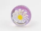 Presse-papiers rond en verre violet avec fleur marguerite blanche, SKU IB02371.